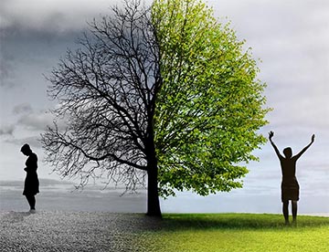 Pszichológus Békéscsaba, Pszichológus Békéscsaba,